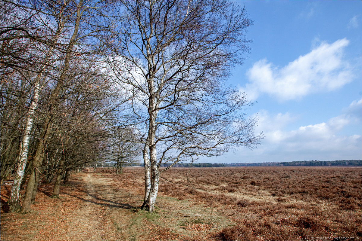 Wandeling Baarn Hilversum