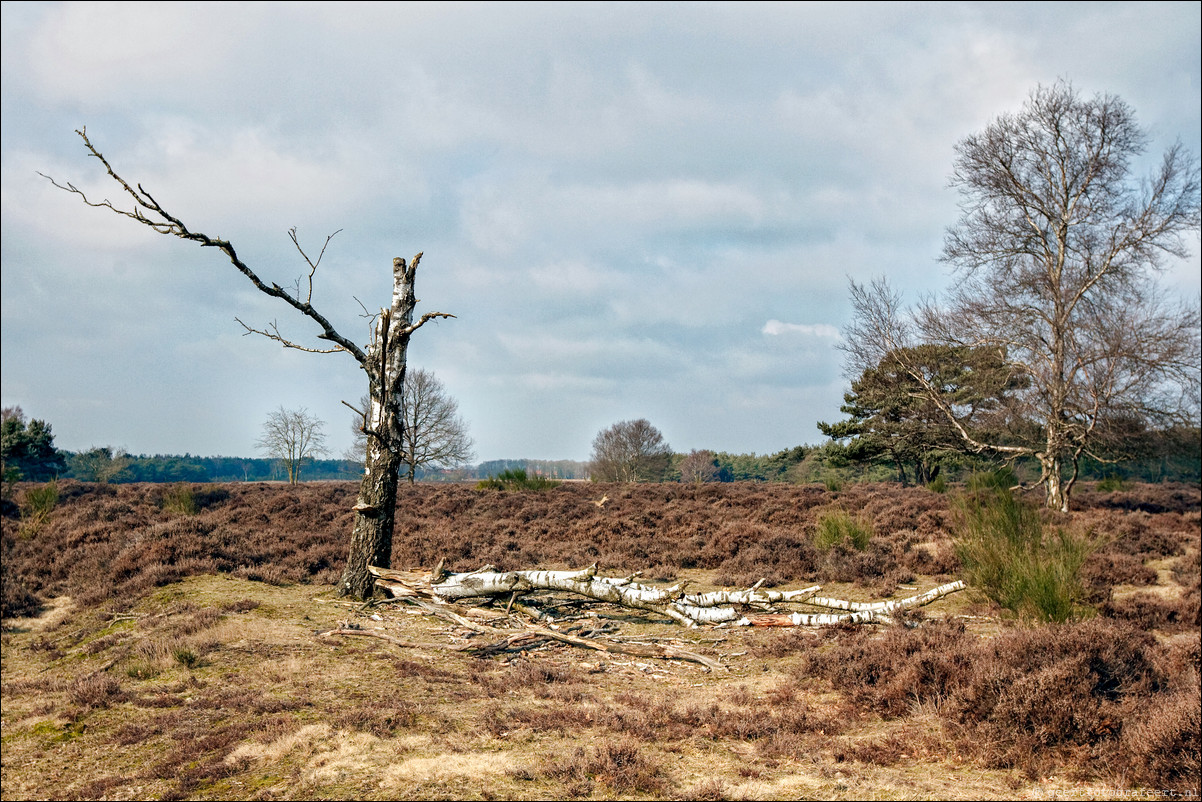 Wandeling Baarn Hilversum