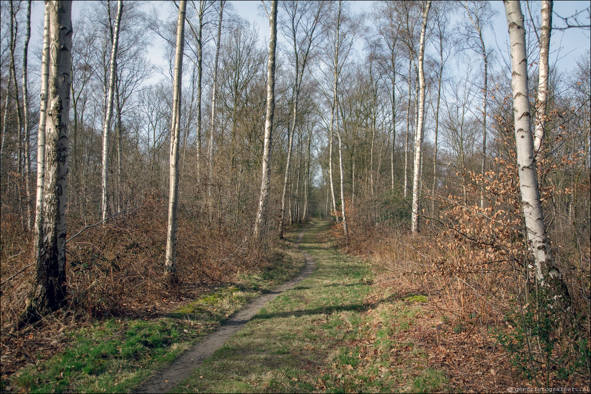 Wandeling Den Dolder - Driebergen