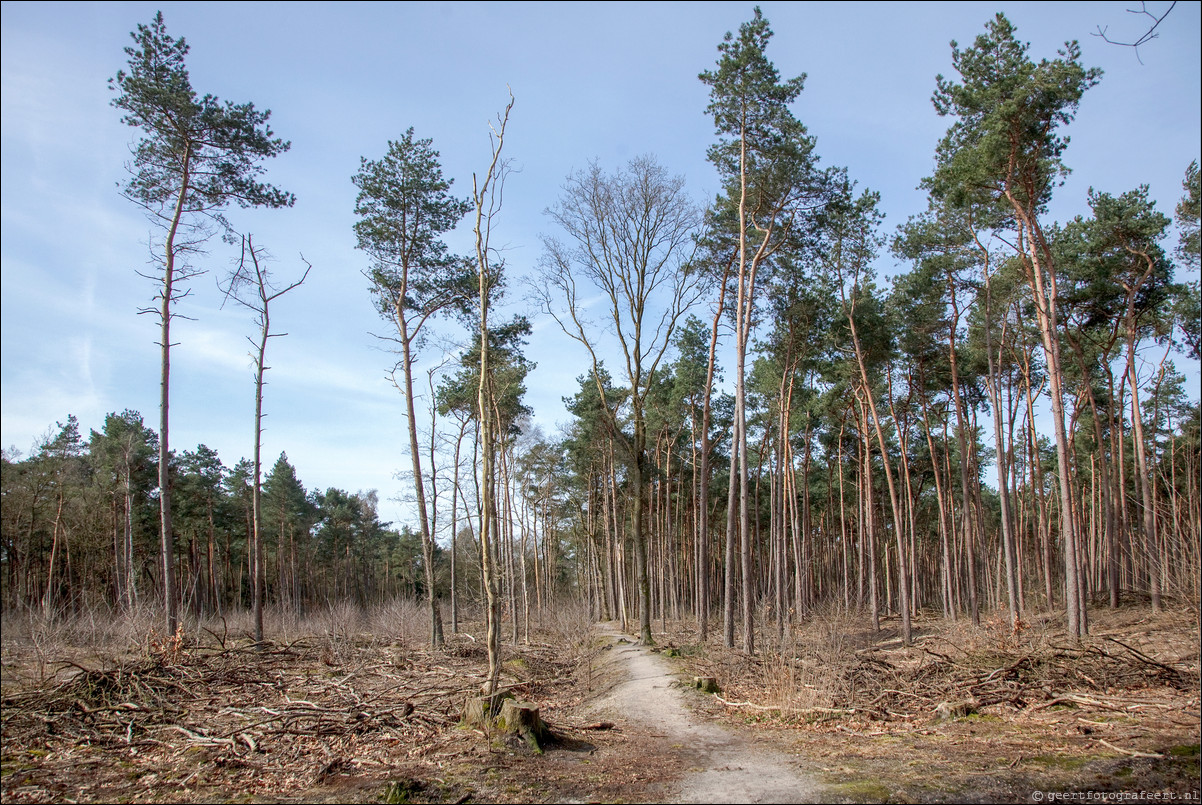 Wandeling Den Dolder - Driebergen