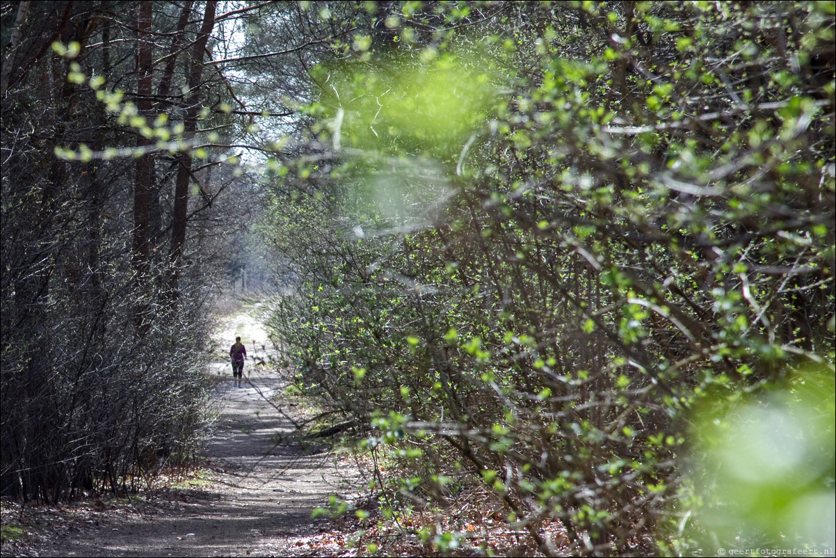 Wandeling Den Dolder - Driebergen