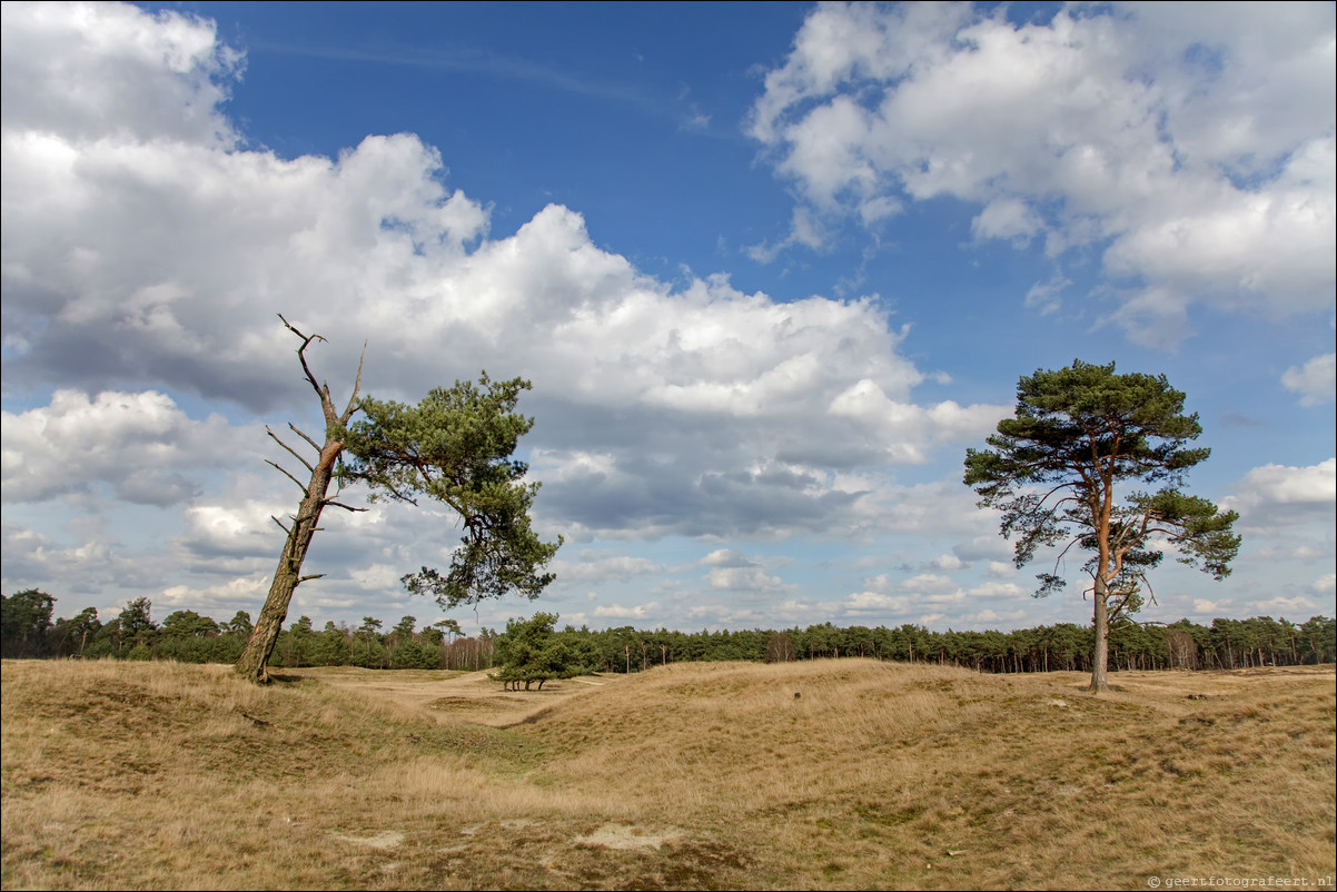 Wandeling Den Dolder - Driebergen