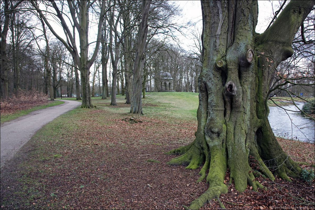 Wandeling Den Dolder - Driebergen