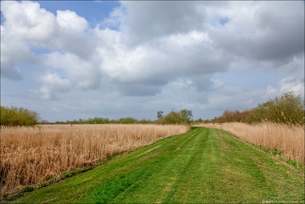 Wandeling Almere Haven - Noorderplassen West