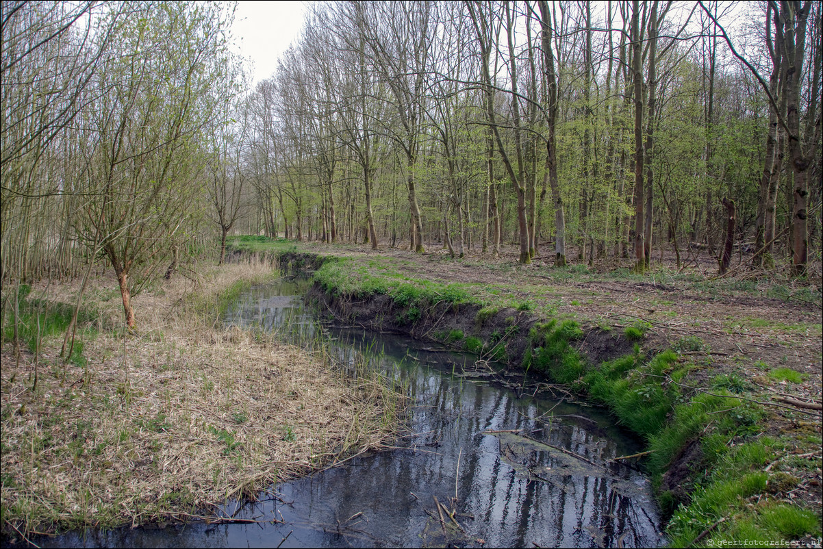 Wandeling Almere Haven - Noorderplassen West