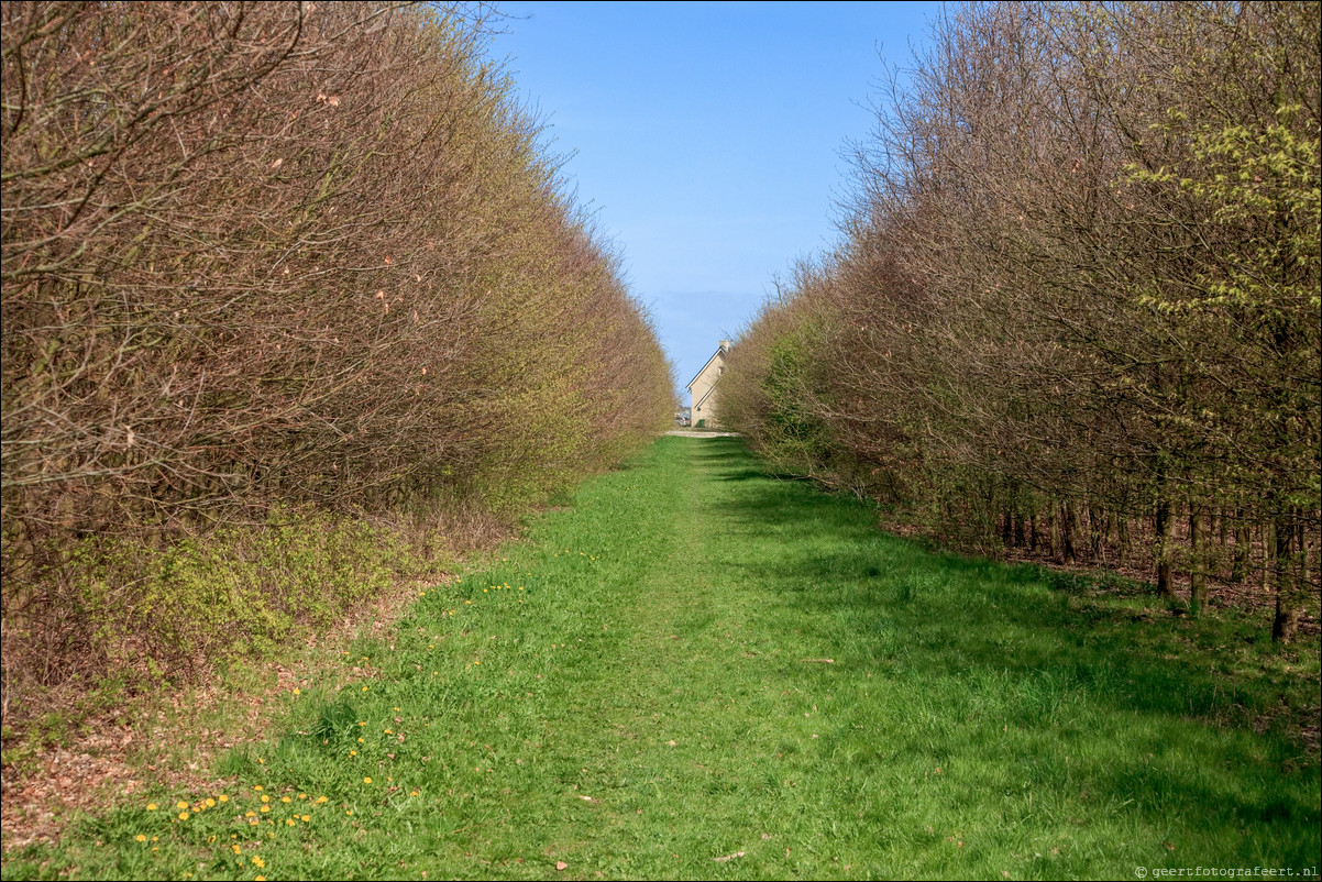 Wandeling Almere Haven - Noorderplassen West