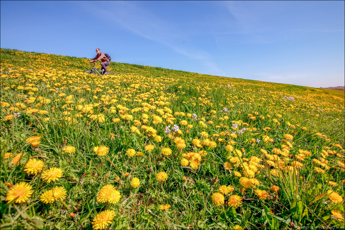 Wandeling - Noorderplassen West - Stripheldenbuurt