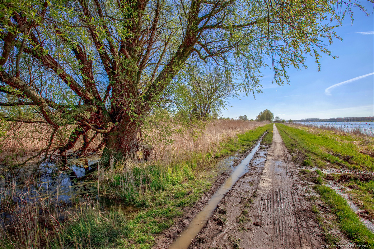 Wandeling - Noorderplassen West - Stripheldenbuurt