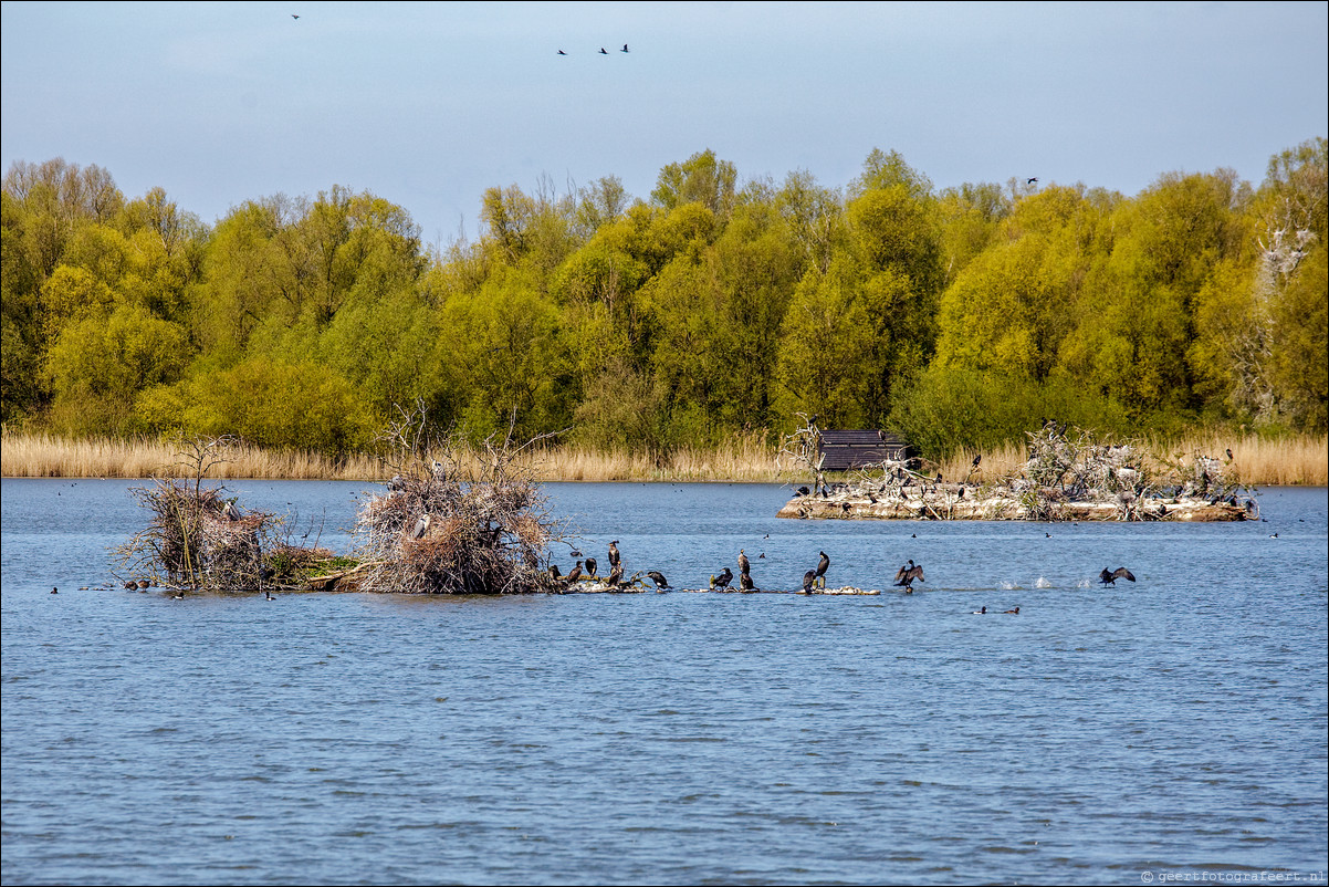 Wandeling - Noorderplassen West - Stripheldenbuurt