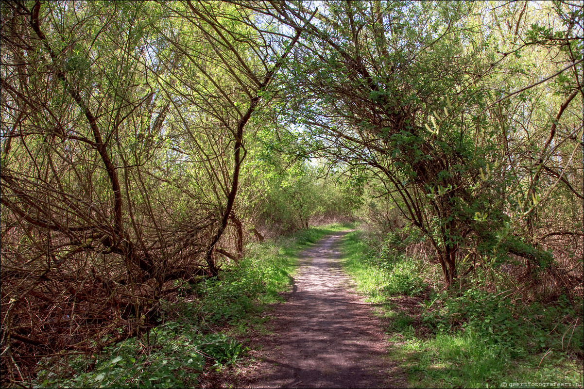 Wandeling - Noorderplassen West - Stripheldenbuurt