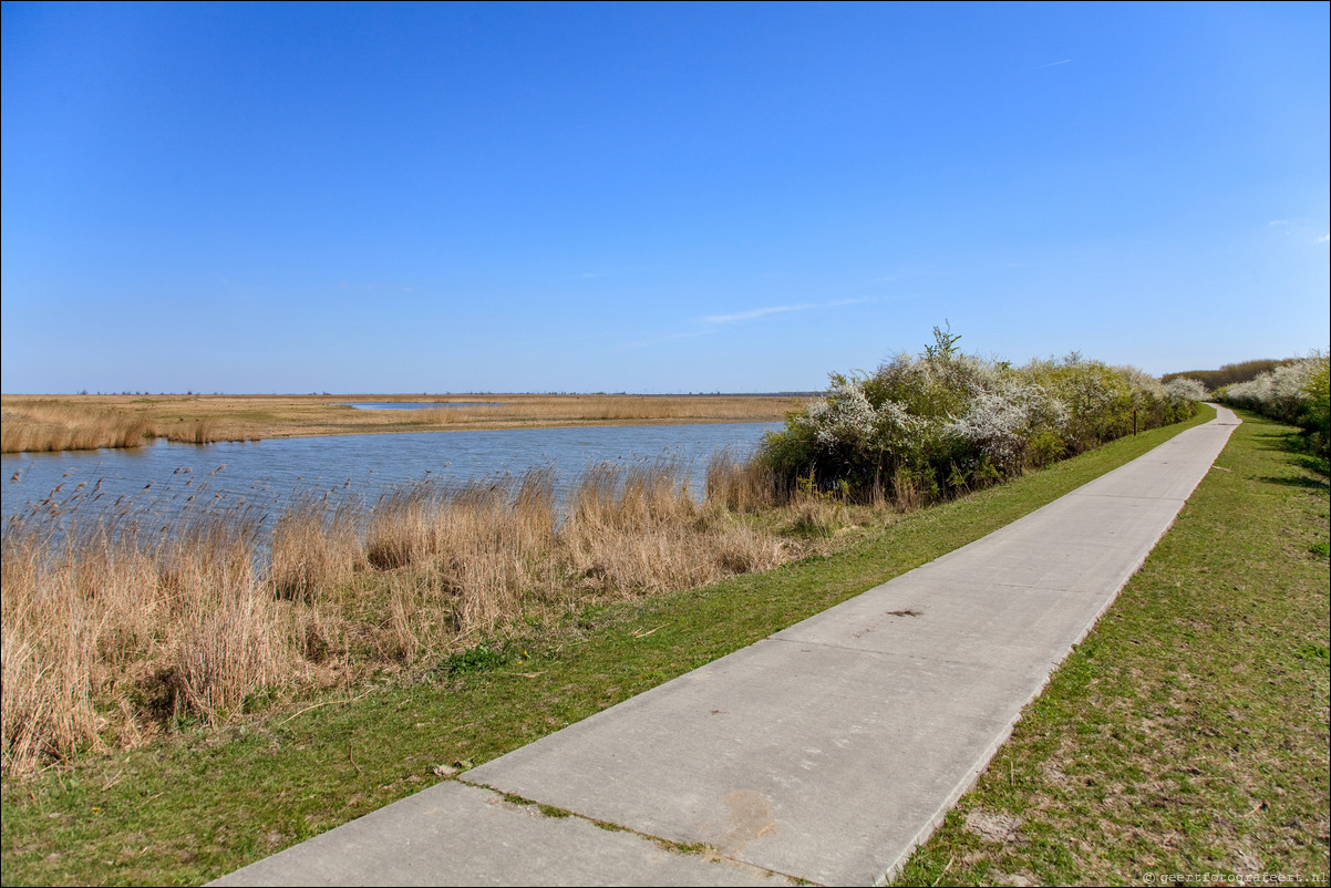 Wandeling - Noorderplassen West - Stripheldenbuurt