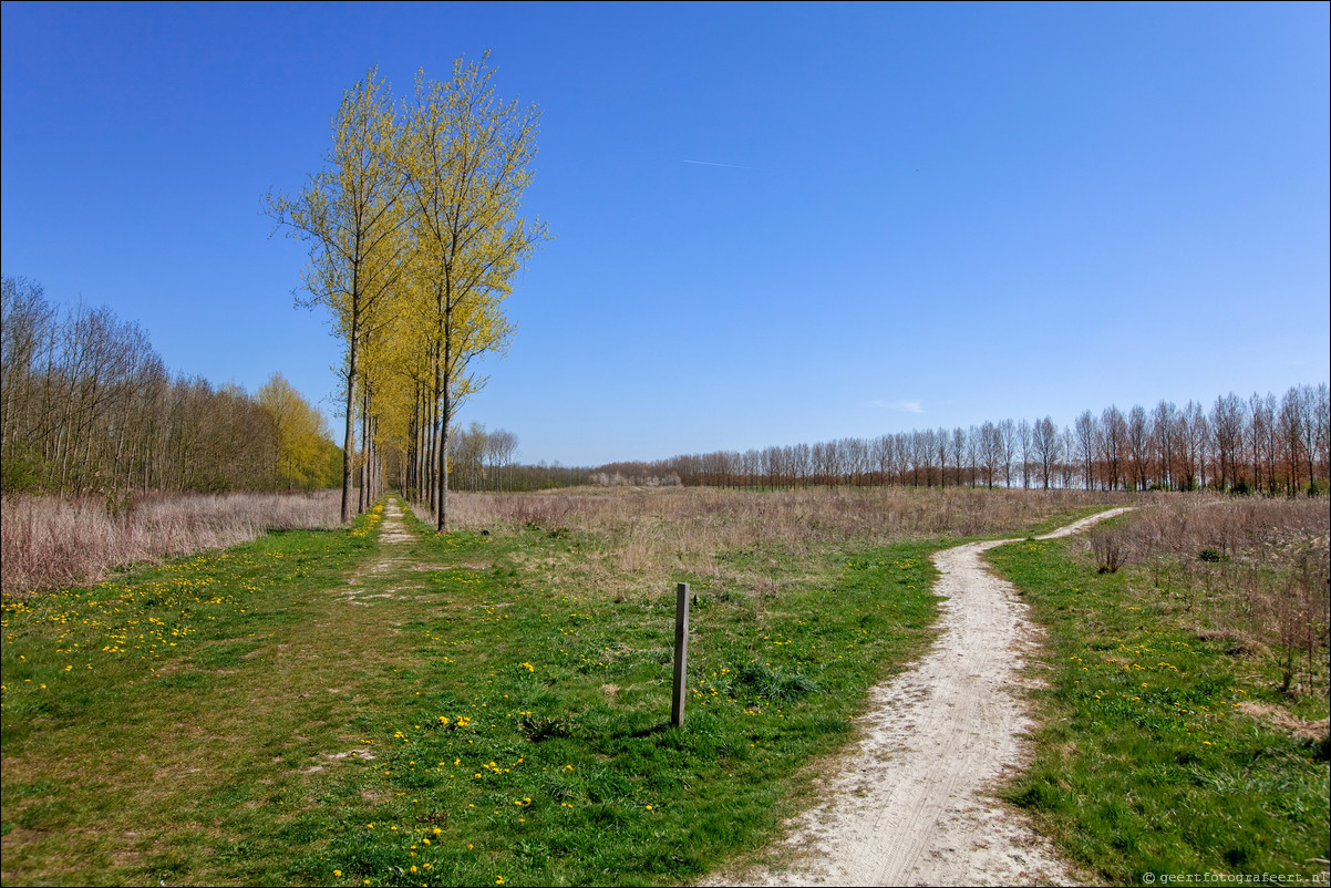 Wandeling - Noorderplassen West - Stripheldenbuurt