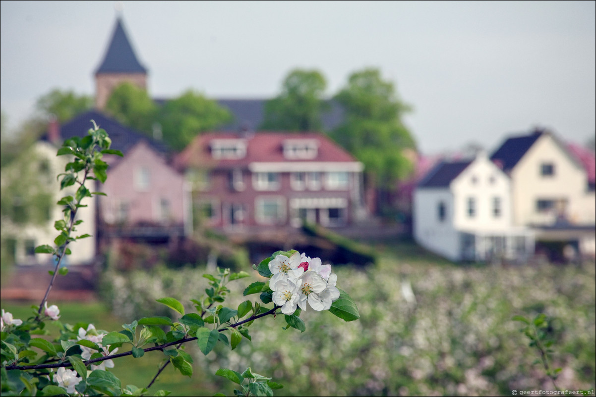 Wandeling - Geldermalsen - Leerdam