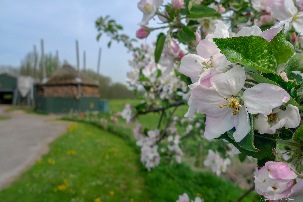 Wandeling - Geldermalsen - Leerdam