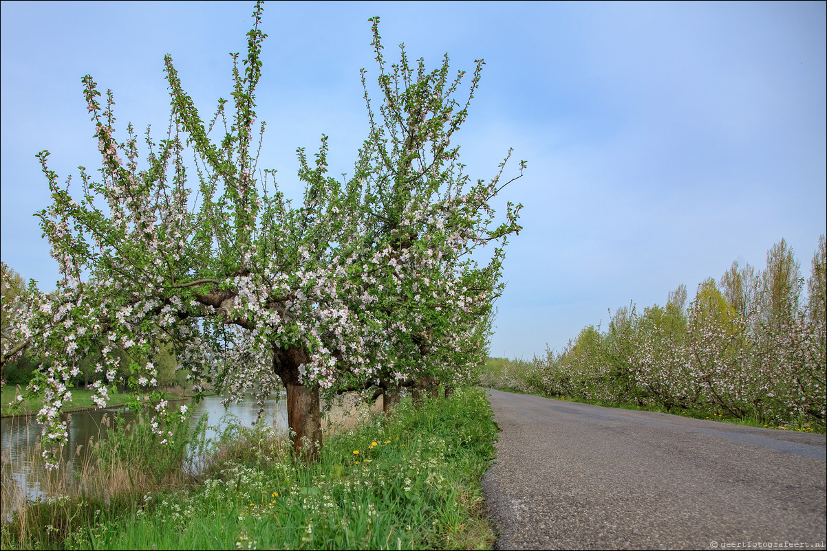 Wandeling - Geldermalsen - Leerdam