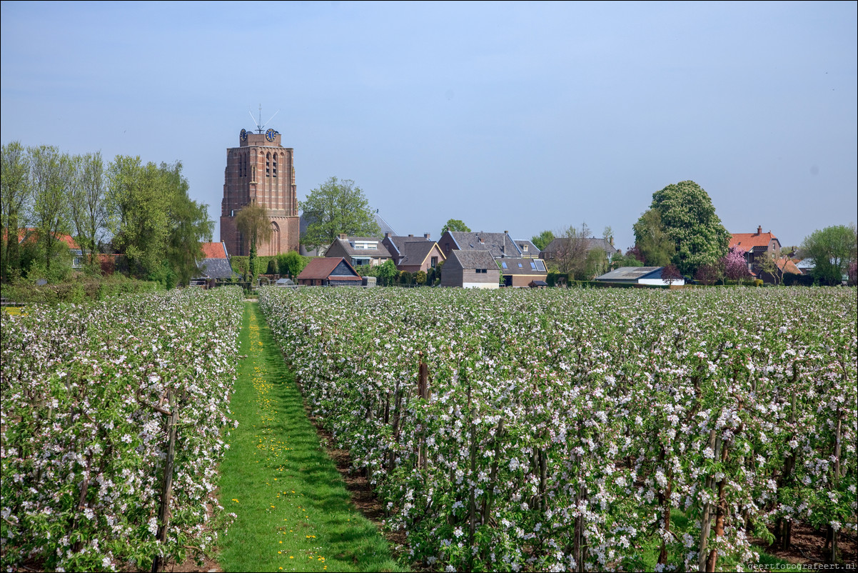 Wandeling - Geldermalsen - Leerdam