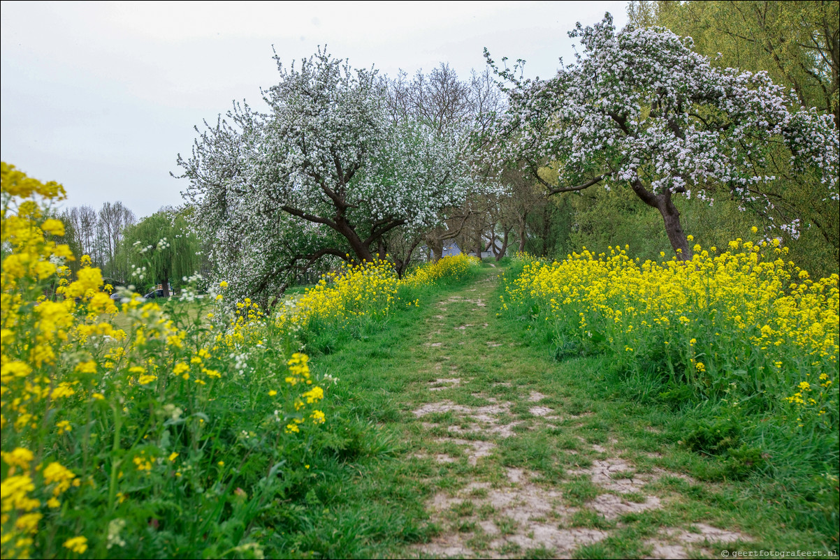 Wandeling - Geldermalsen - Leerdam