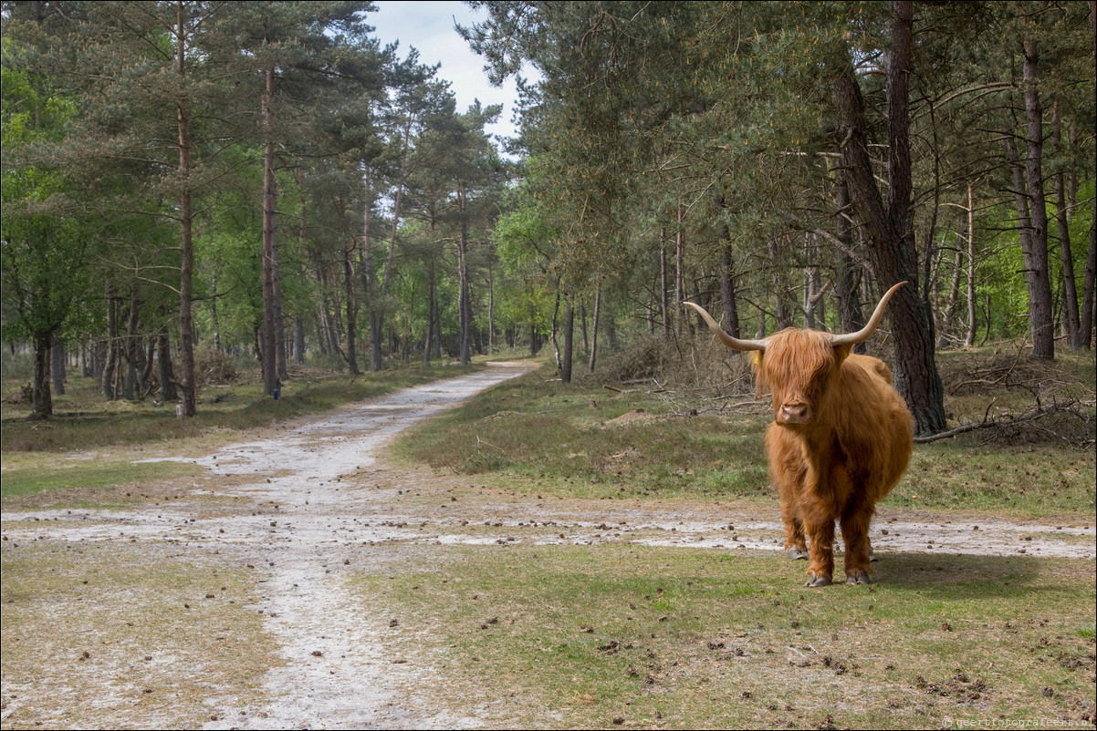 Wandeling Wezep - Zwolle