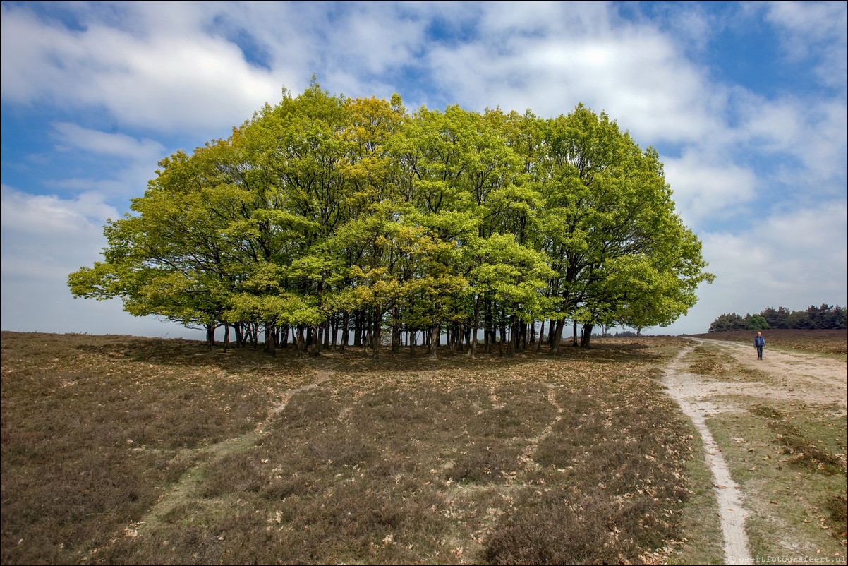 Wandeling Wezep - Zwolle