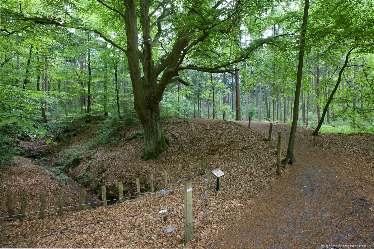 Wandeling Wezep - Zwolle