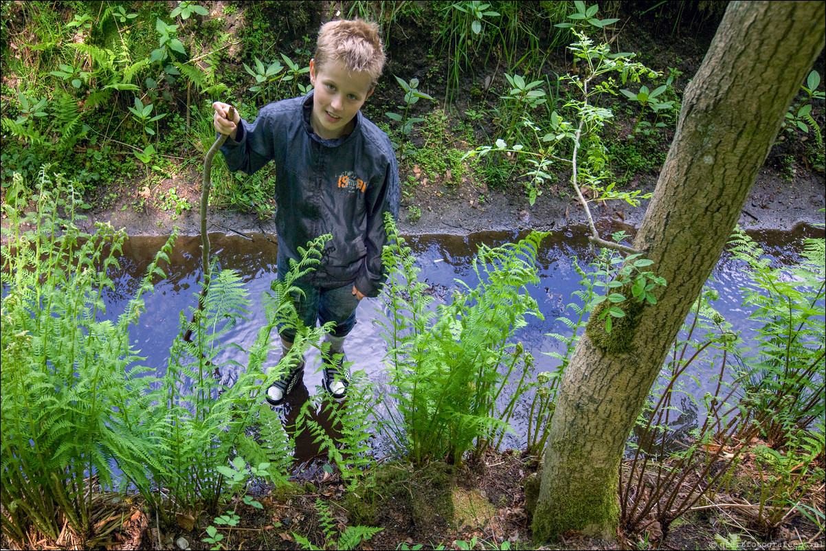 Wandeling Wezep - Zwolle