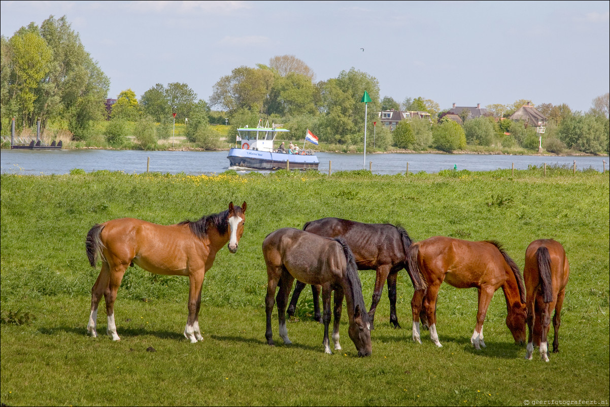 Wandeling Wezep - Zwolle