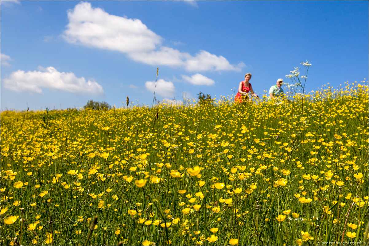 Wandeling Wezep - Zwolle