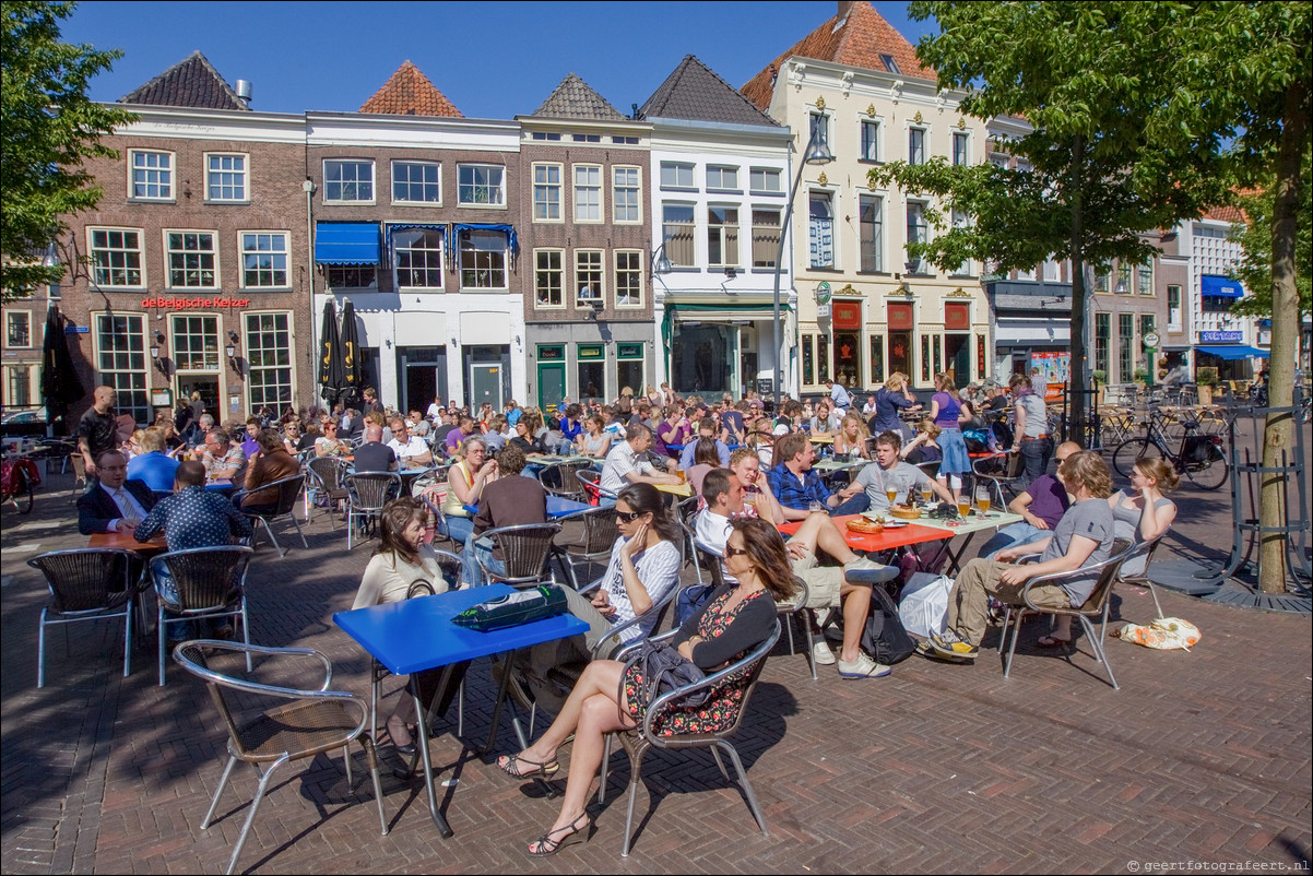 Wandeling Wezep - Zwolle