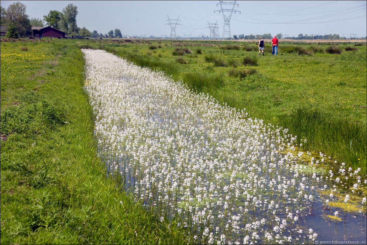 Wandeling Bussum Weesp