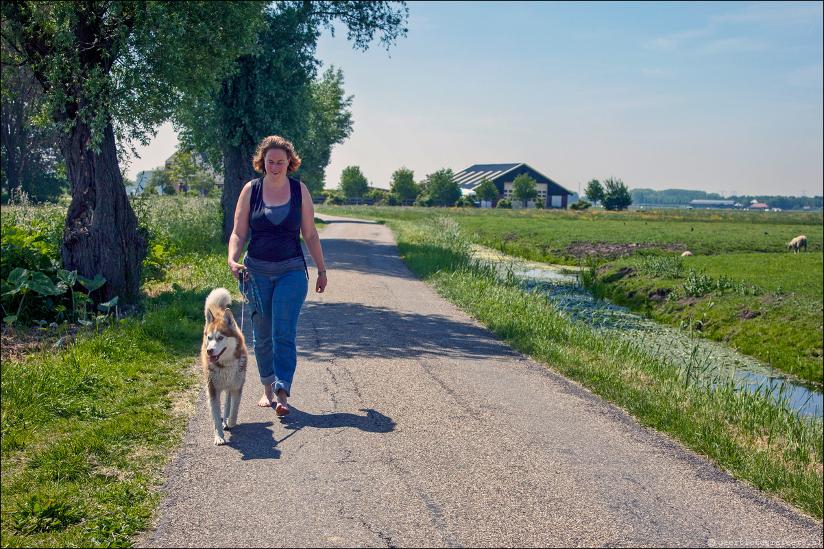 Wandeling Weesp - Bussum