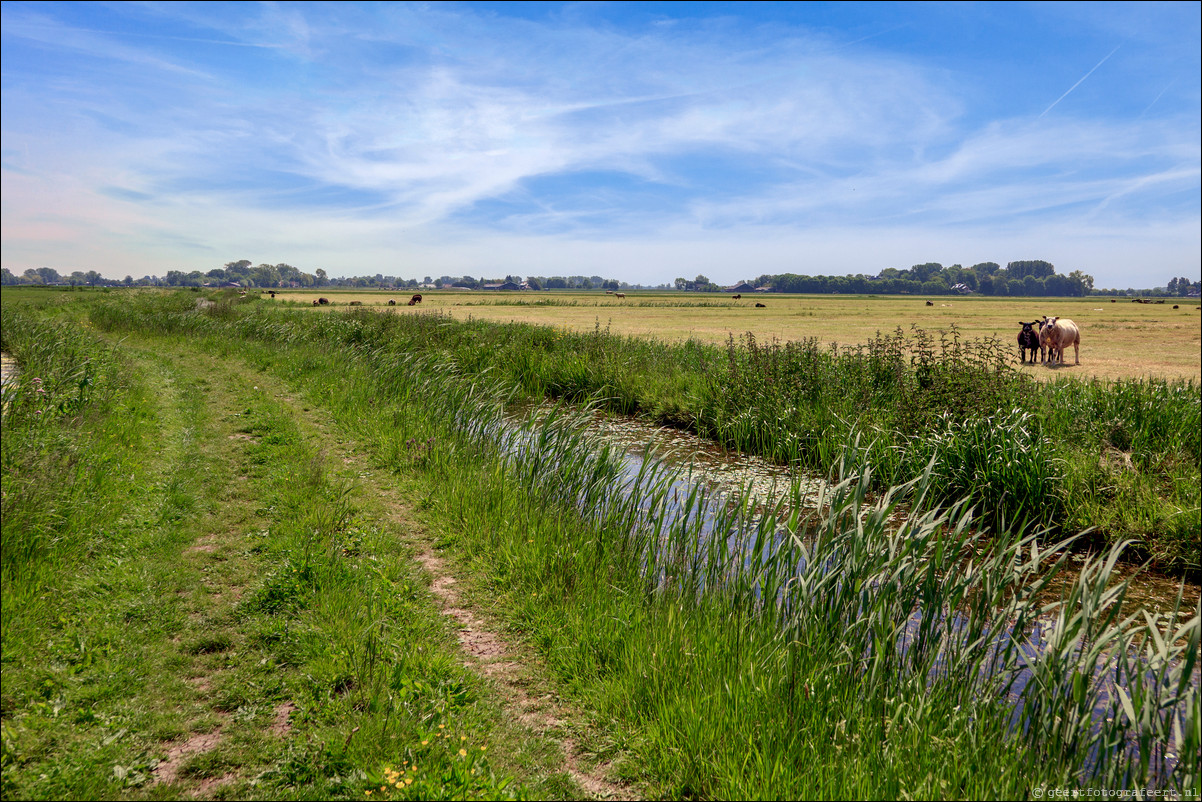 Wandeling Weesp - Bussum