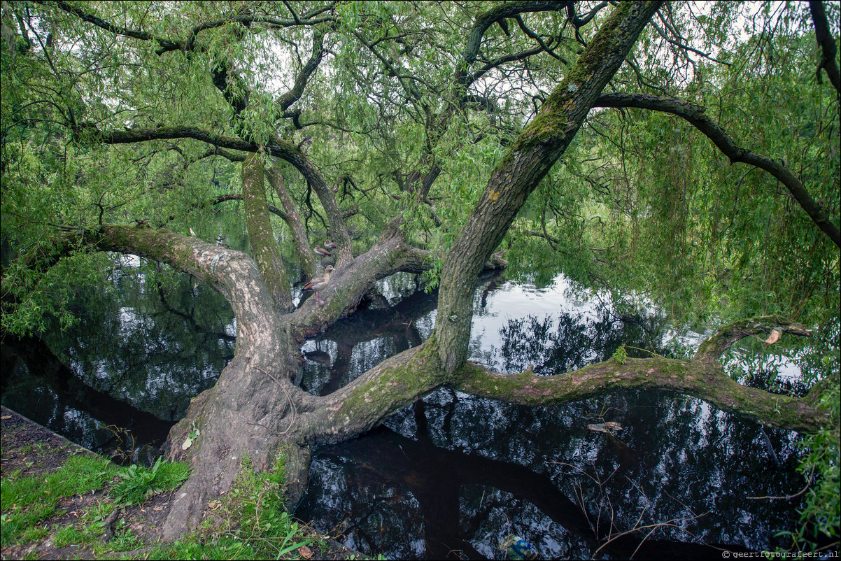 Wandeling Amsterdam - Schiphol