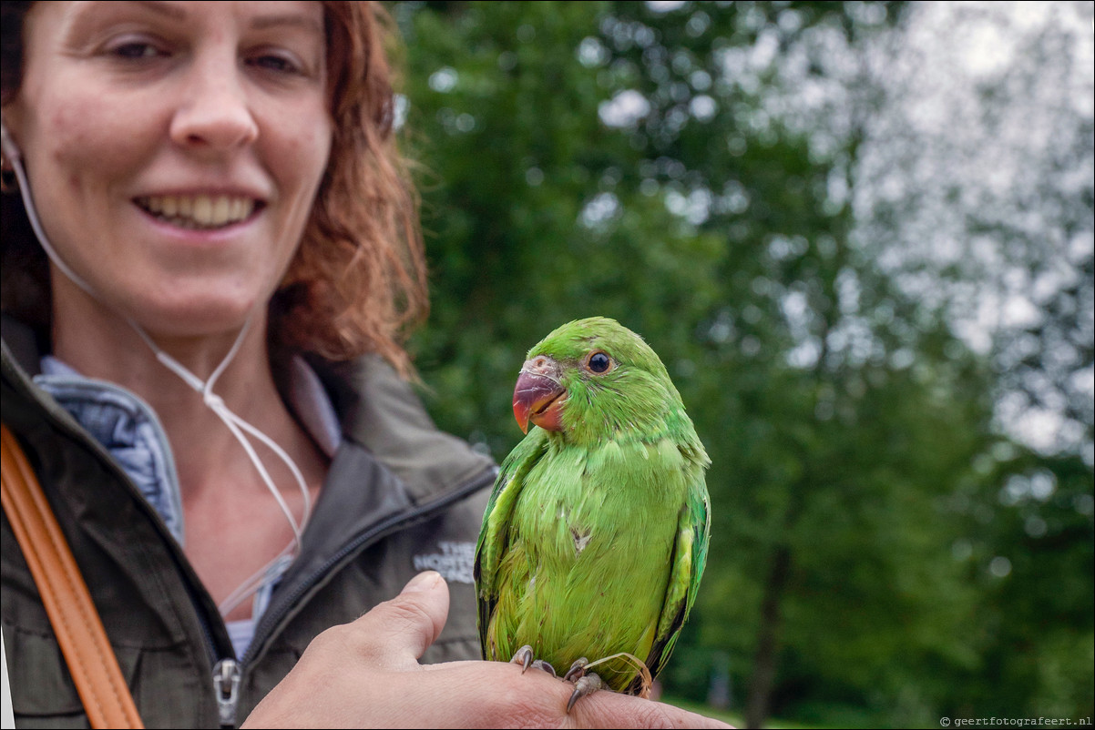 Wandeling Amsterdam - Schiphol