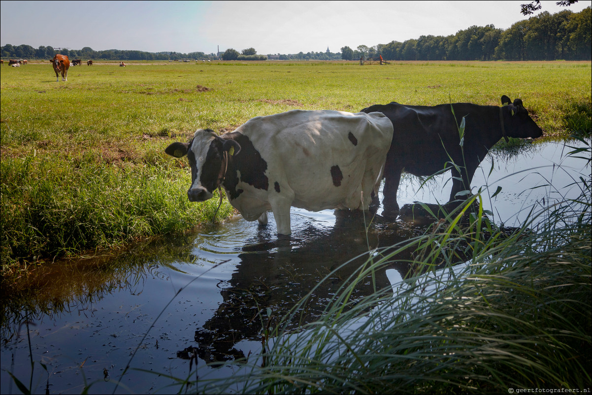 Wandeling Bussum - Muiden