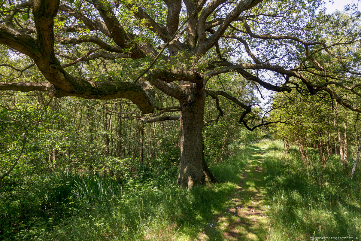 Wandeling Bussum - Muiden