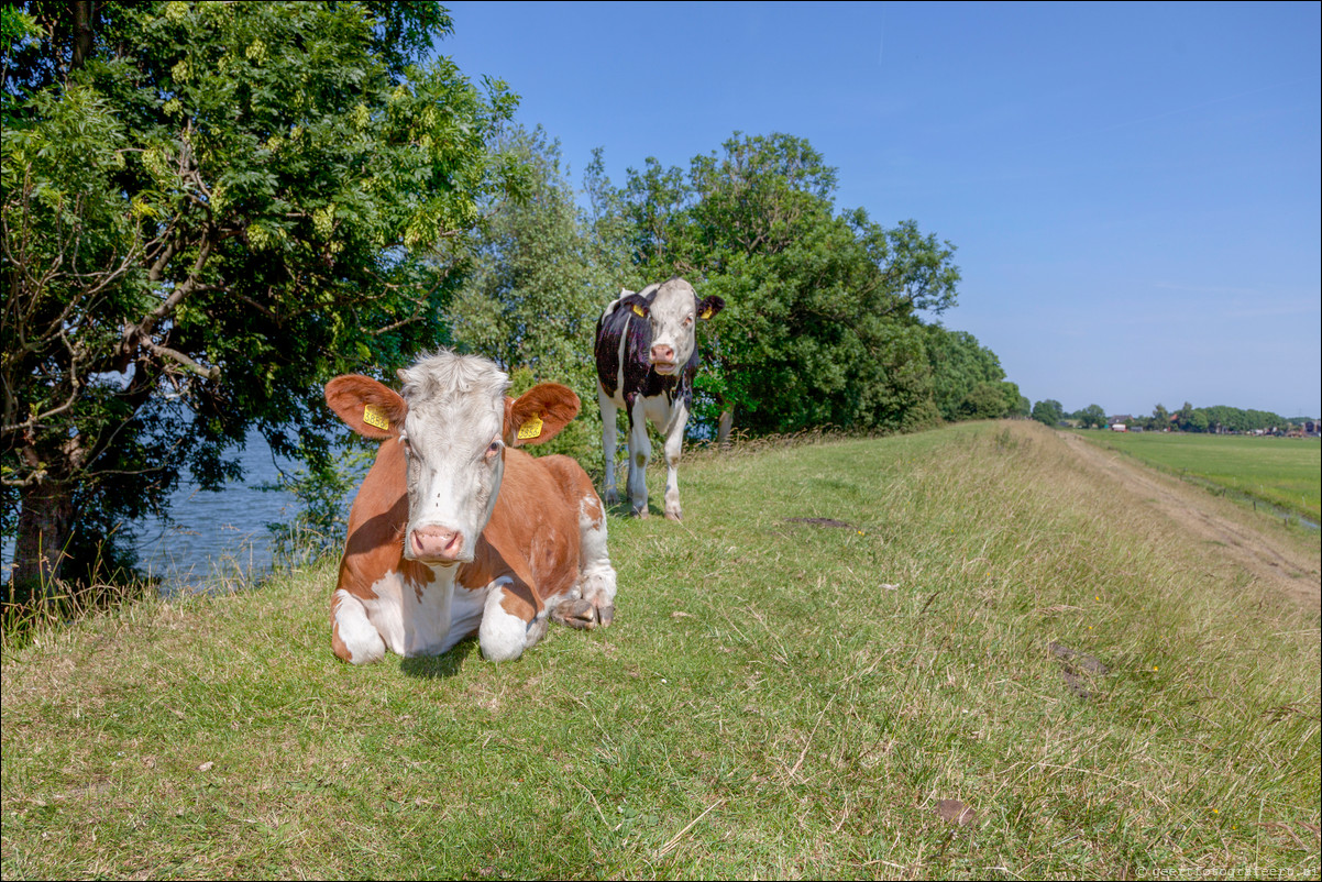 Wandeling Bussum - Muiden