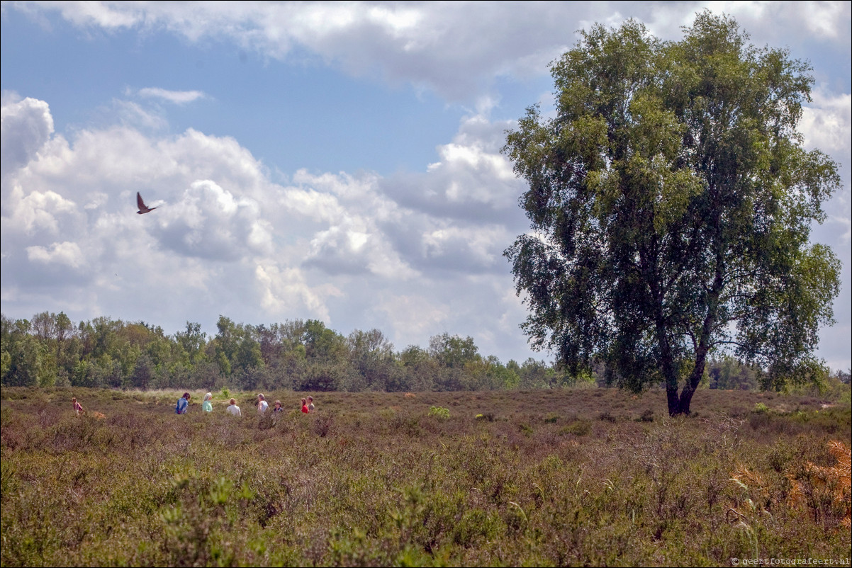 Wandeling Vierhouten Eigentijdsfestival