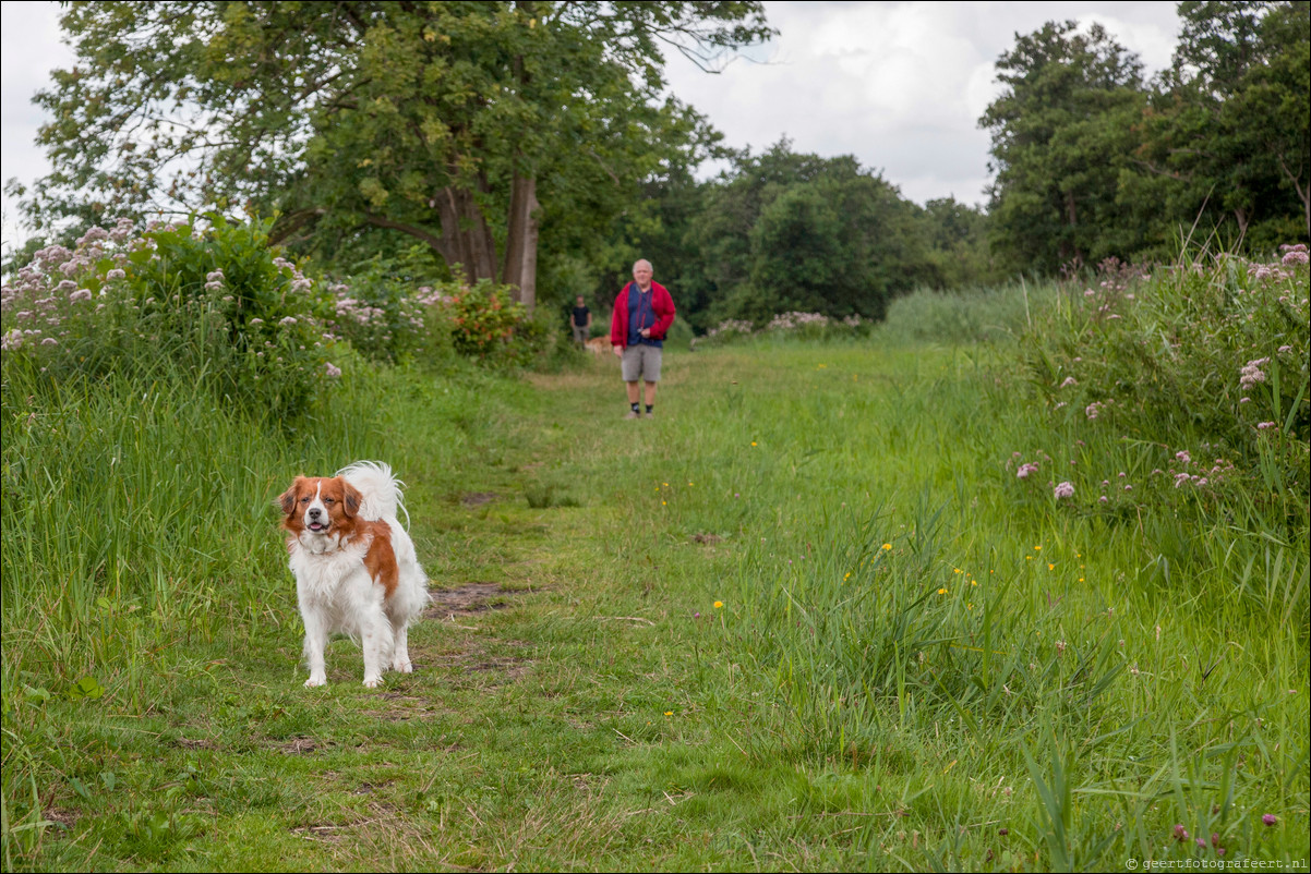 Wandeling Kortenhoef - Breukelen