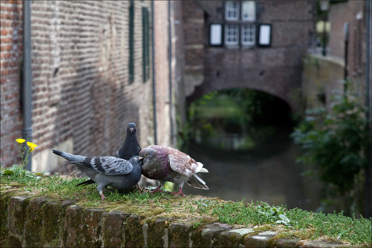 Wandeling  Maastricht - Kanne