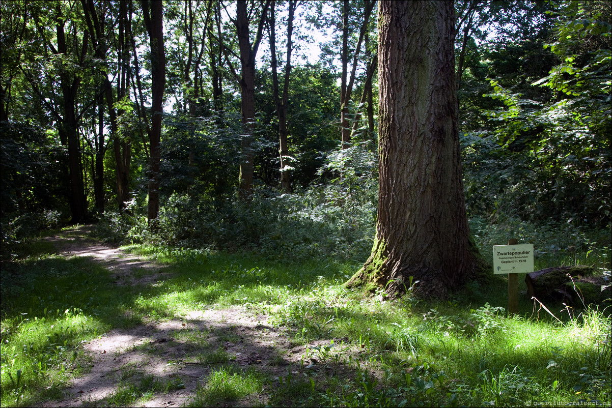 Wandeling Almere Haven - Eilandenbuurt