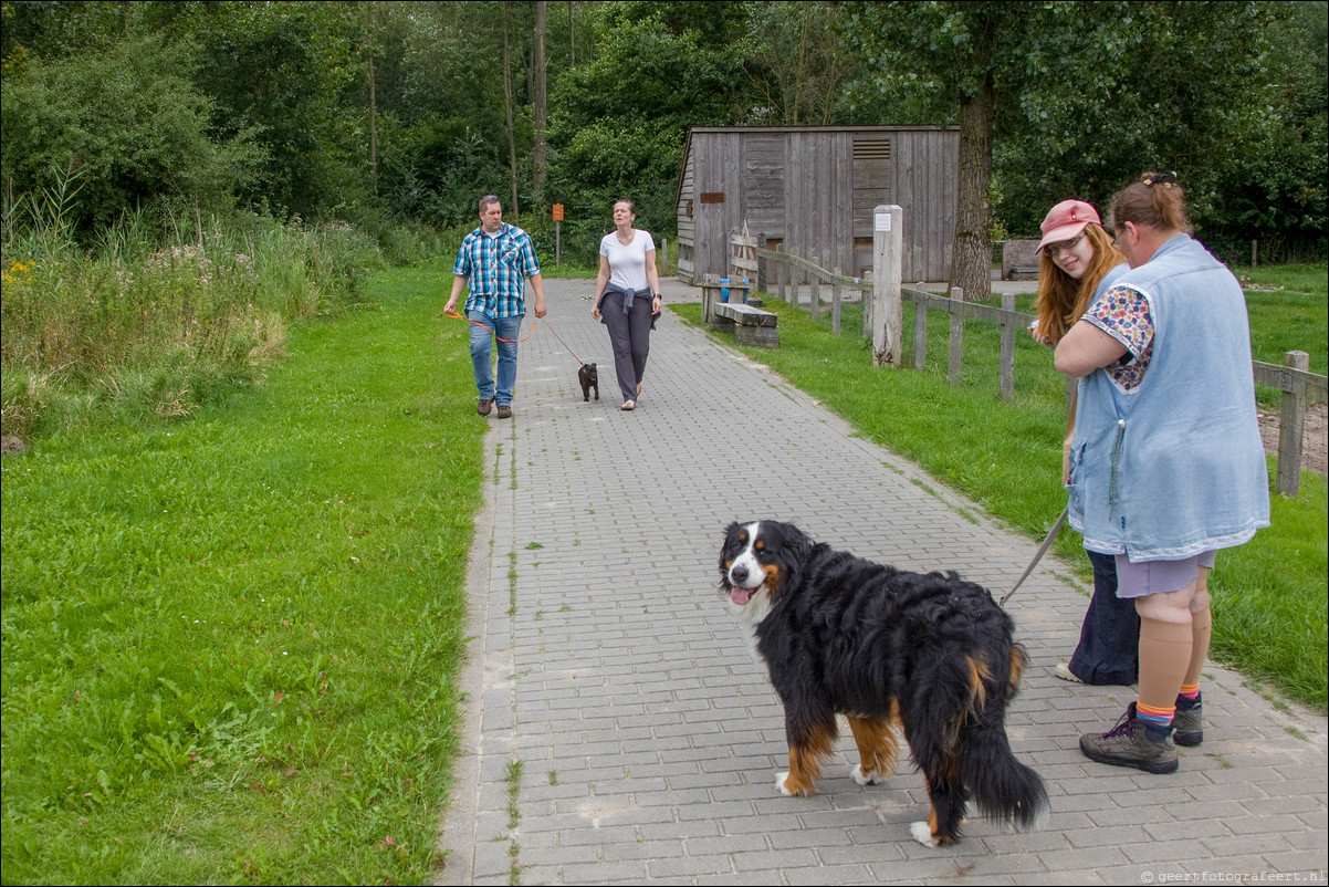 Wandeling Almere Haven - Eilandenbuurt