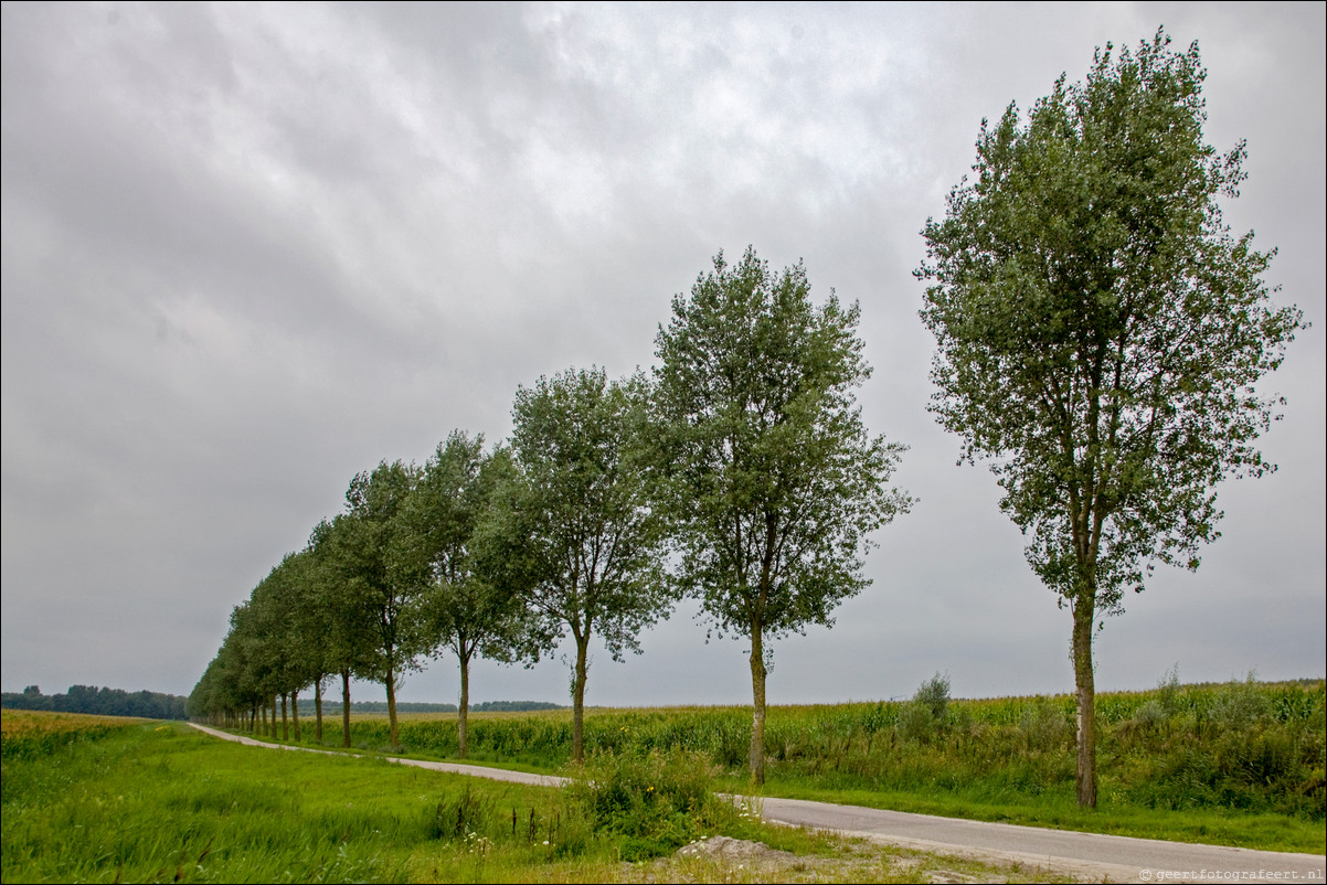 Wandeling Almere Haven - Eilandenbuurt