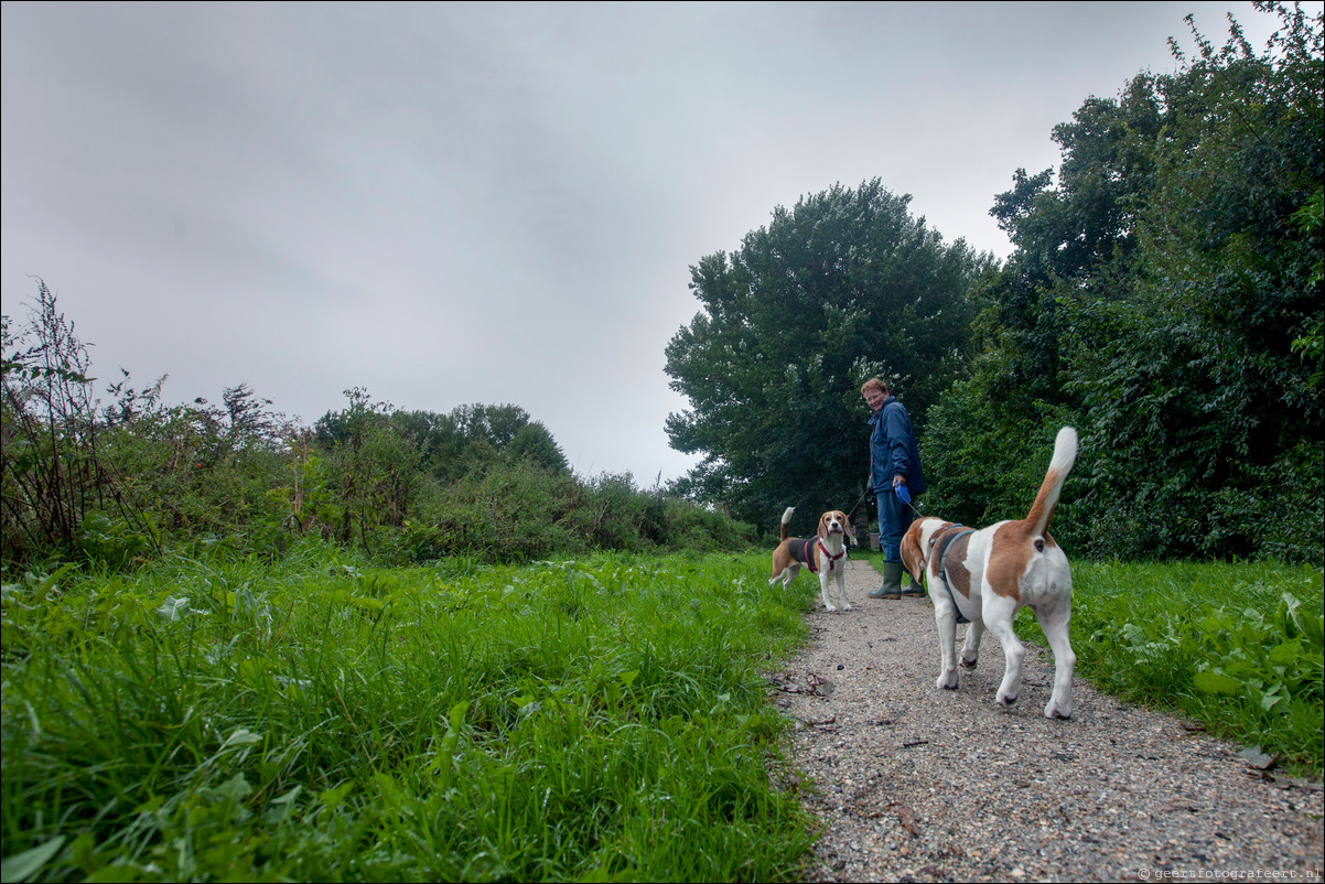 Wandeling Almere Haven - Almere Stad