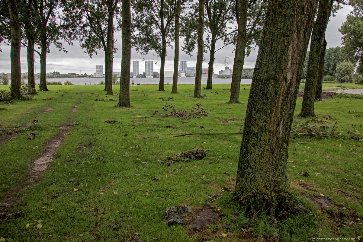 Wandeling Almere Haven - Almere Stad