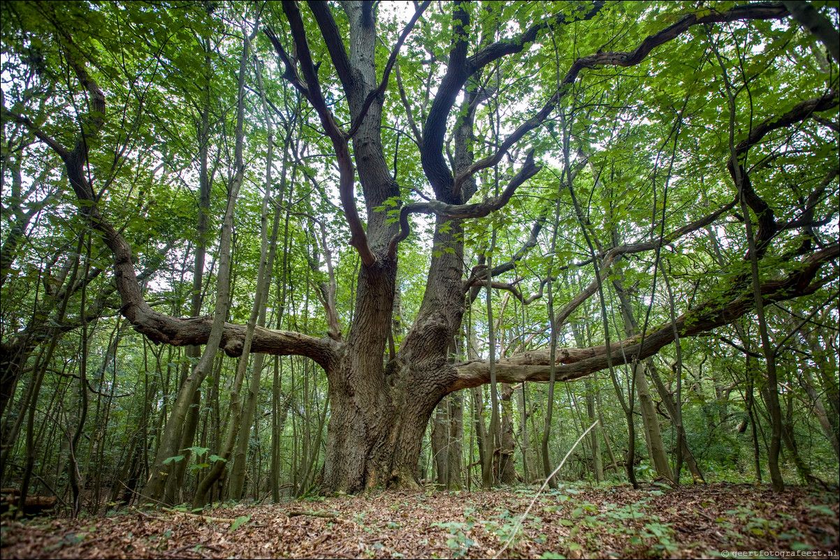 Wandeling Santpoort - Westerveen