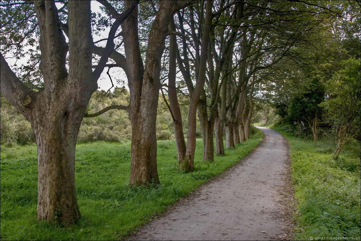 Wandeling Santpoort - Westerveen