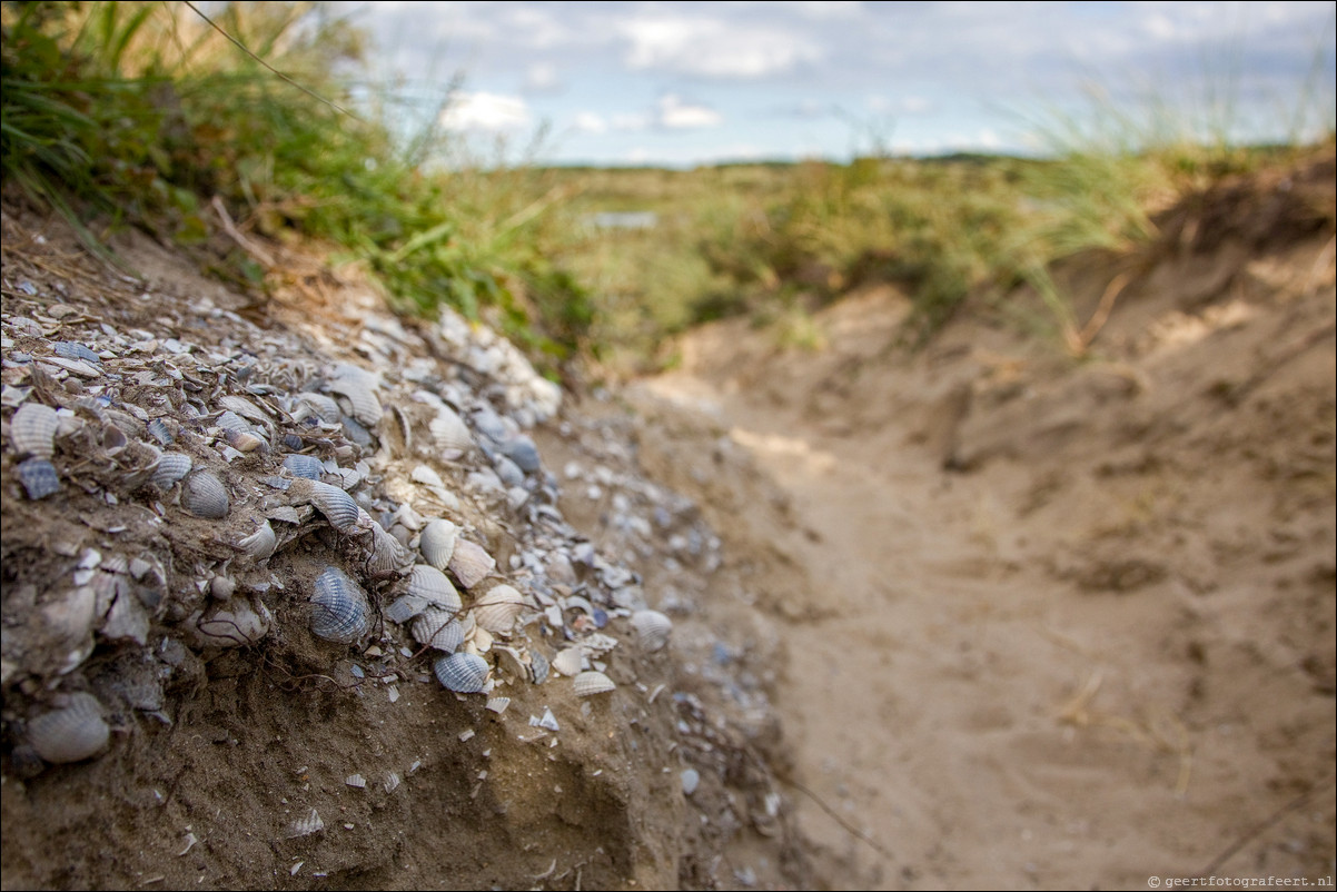 Wandeling Santpoort - Westerveen