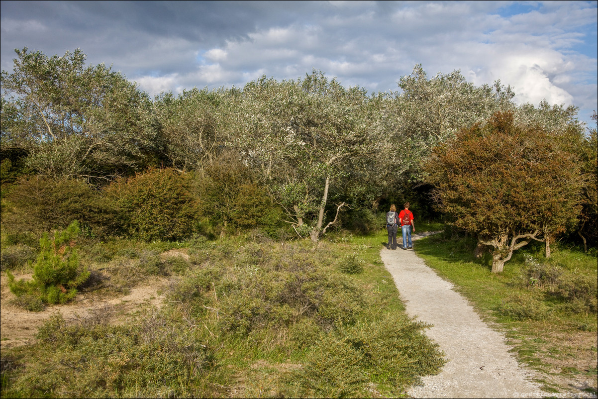 Wandeling Santpoort - Westerveen