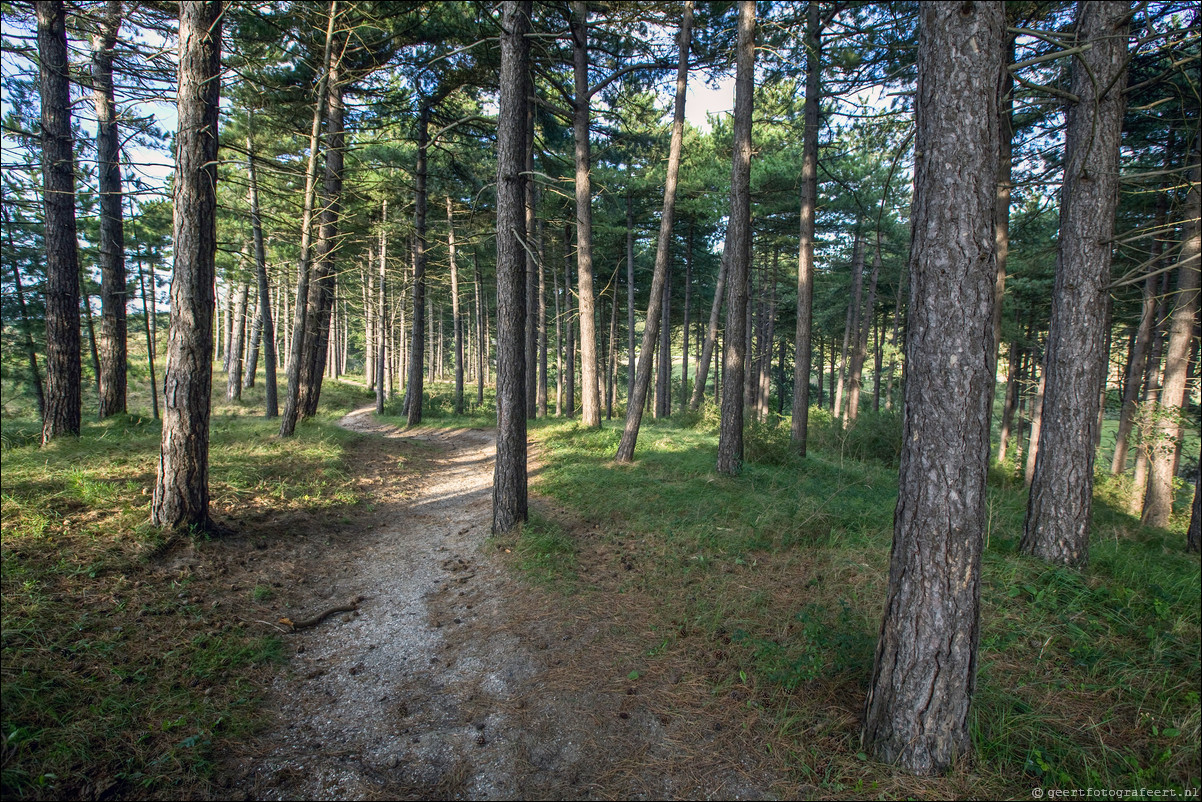 Wandeling Santpoort - Westerveen