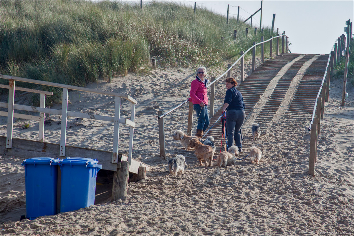 Wandeling Bergen aan Zee - Bergen